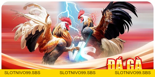 JW88 Tokentimes | JW88.com Trang Chủ, Danh Mục Game, Hướng Dẫn